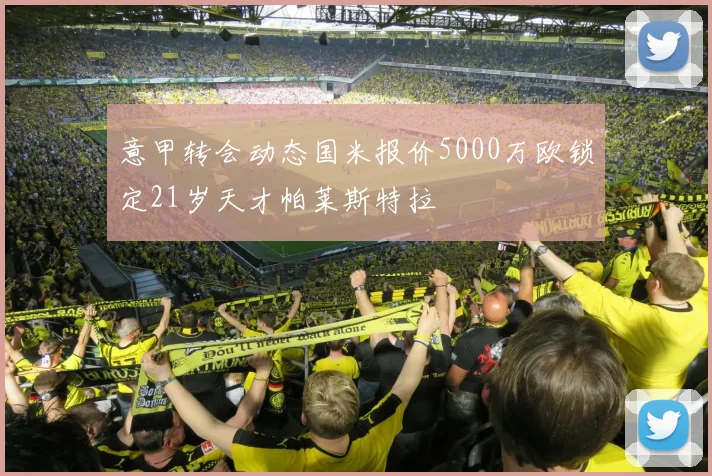 意甲转会动态国米报价5000万欧锁定21岁天才帕莱斯特拉