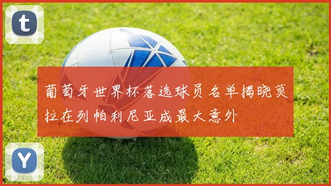 葡萄牙世界杯落选球员名单揭晓莫拉在列帕利尼亚成最大意外