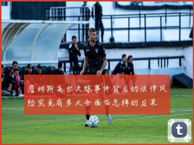 詹姆斯高尔夫球事件背后的法律风险究竟有多大会面临怎样的后果